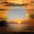 Beatriz Arbelaez's profile image