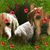 Anne Harrs Easterwood's profile image