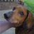 Mario Recchioni's profile image