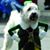 Loretta Tracy's profile image