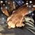 Doris Munsell's profile image
