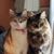 Rhonda Rhenae Vale Burthold's profile image