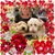 Terry Stamps Hayward's profile image