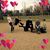 Linda Haller's profile image