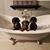 Shelly Kay Renfro's profile image