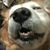 Max Wry's profile image