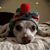 Jessica Hartke's profile image
