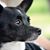 Maureen Clontz's profile image