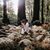Amy Scoggins's profile image