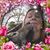 Karen Hickey Schoen's profile image