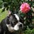 Wendy James's profile image