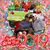 Jim Kazmierczak's profile image
