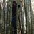 Michelle Warren's profile image