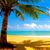 Wendy Brown-Potts's profile image