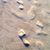 Christine Lorenz's profile image
