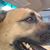 Denis Ginley's profile image