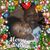 Cookies Rule's profile image