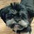 Paula Pierce's profile image