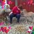 Betty Jean Akins Austin's profile image