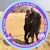 Fabiana Nobre's profile image