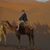 Debi Sayer's profile image