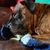 Kit Loffreda's profile image