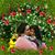 Maria Punongbayan's profile image