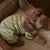 Sue Holman's profile image