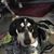 Amy Ratliff's profile image