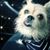 Pat Kerton's profile image