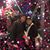 Susan Valdemar Guerrero's profile image