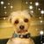Connie Kaigler's profile image