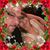 Geisy Noemi Castillo's profile image