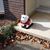 Tom McEwen's profile image