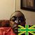 Stephen M Green's profile image