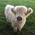John David Henson's profile image