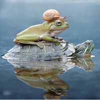 Danette Smith's profile image