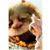 Christie Kotz's profile image