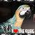 Ed Maggert's profile image