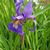 Bonnie Delaney's profile image