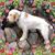 Shelley Reich's profile image