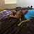 Jacqueline Puls's profile image