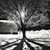 Lynn Jarosz Goode's profile image