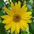 Jill Schrank's profile image