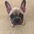 Rebecca Harvey Carrillo's profile image