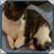 Teresa Green's profile image