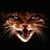 Tc Frisby's profile image