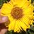 David Van Tassel's profile image