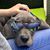 Jerri Lisa Hagerman-Urick's profile image
