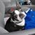 Narda Arnett Miller's profile image